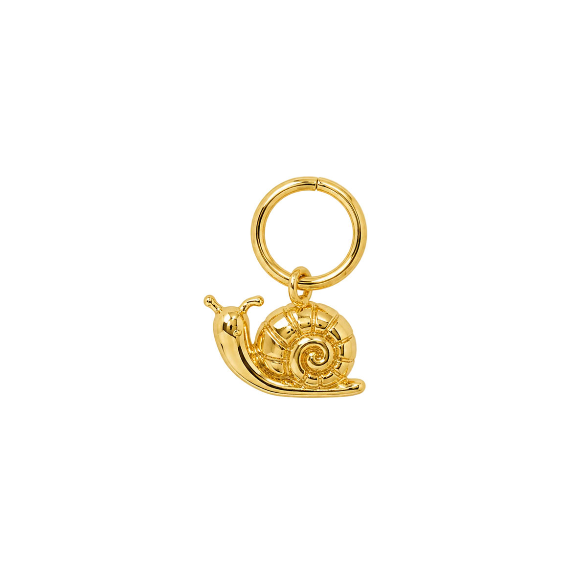 Gold Snail