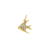 Gold Fish