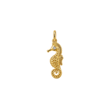 Seahorse