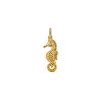 Seahorse