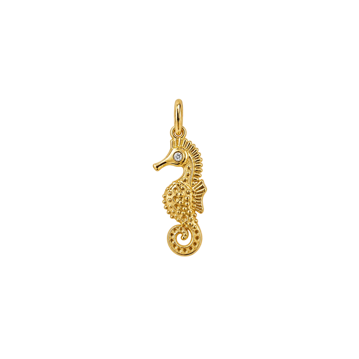Seahorse