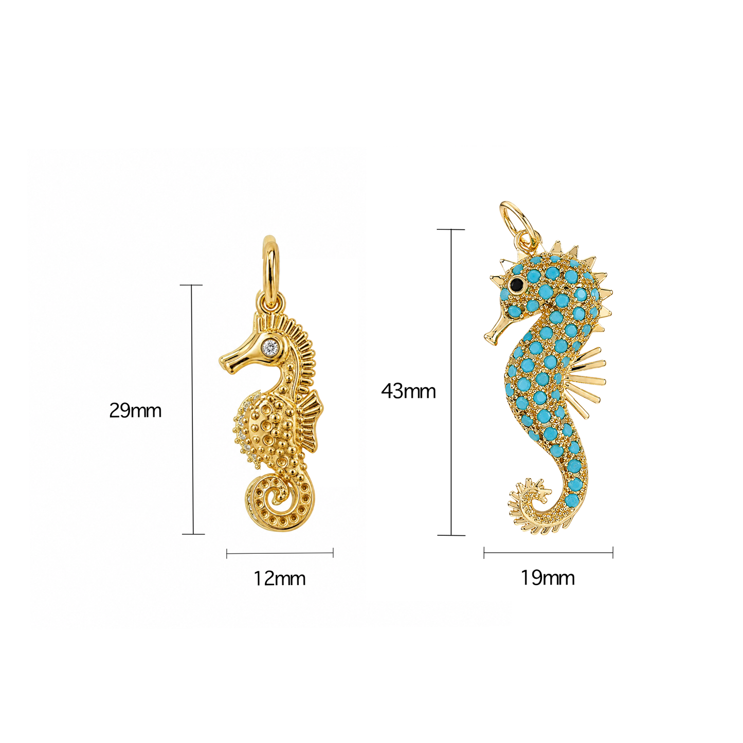 Seahorse