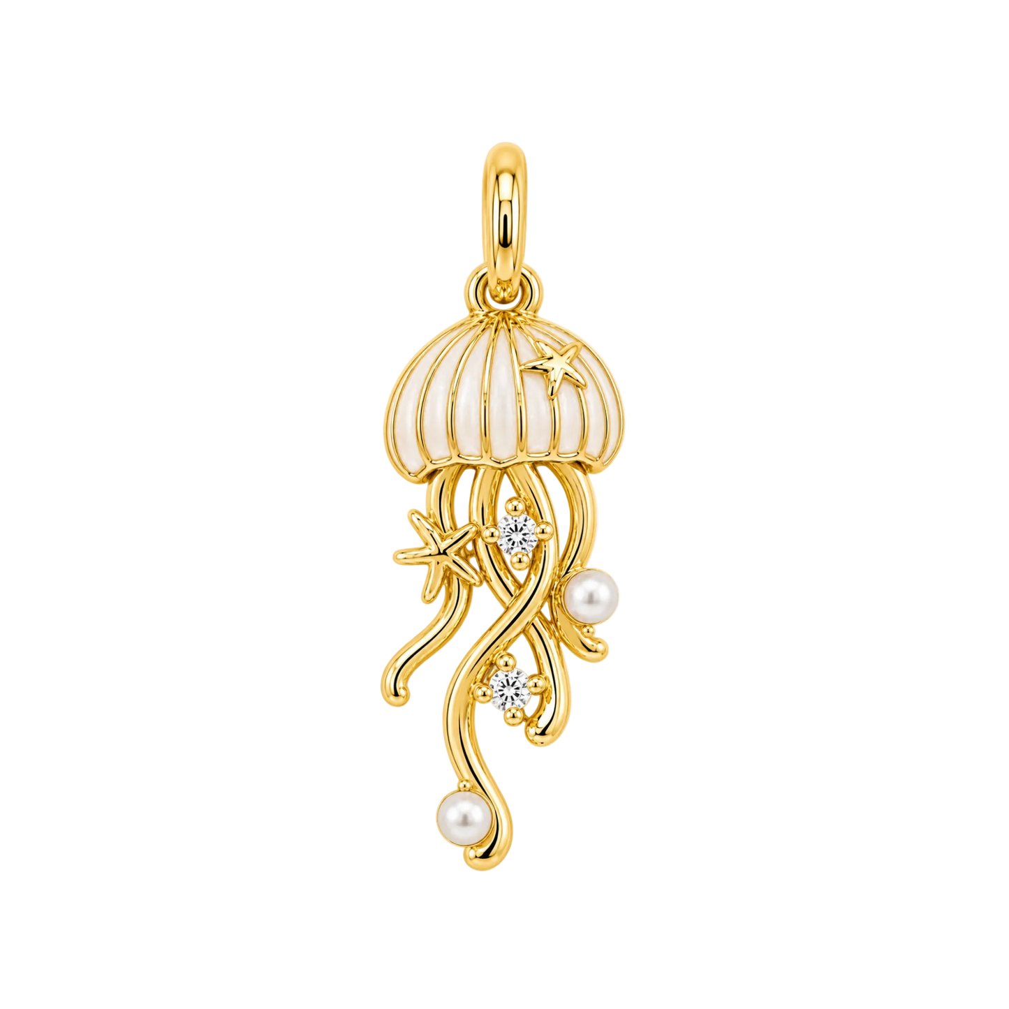 Jellyfish