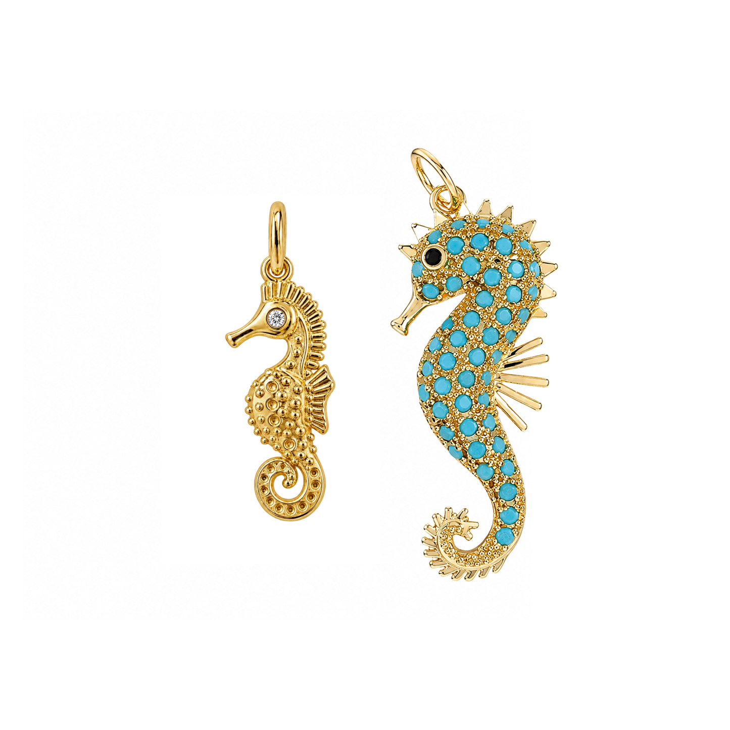 Seahorse
