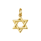 Gold Star of David