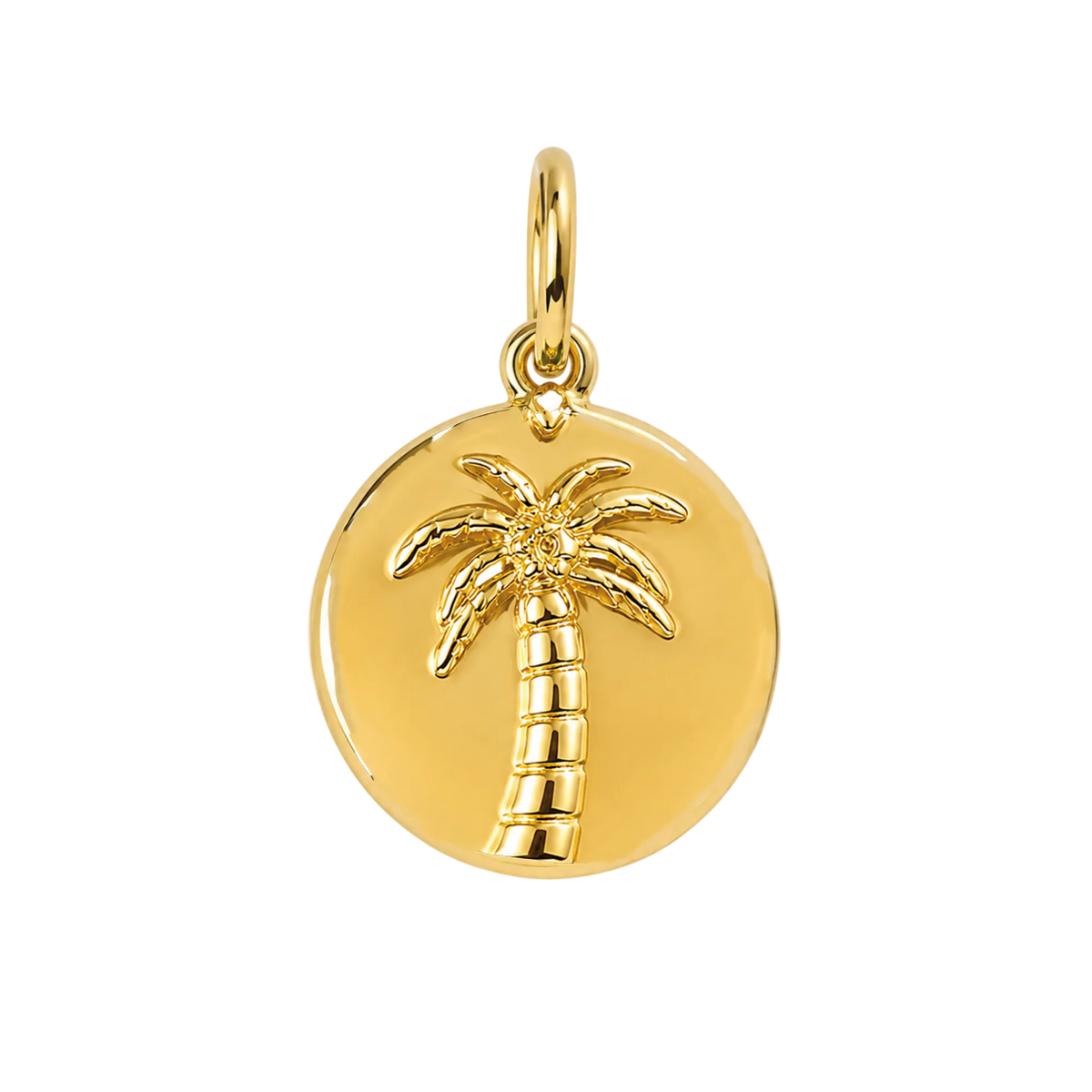 Palm Tree Medallion