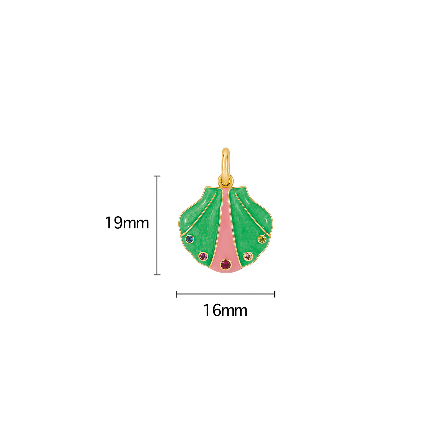 Green Clam Shell