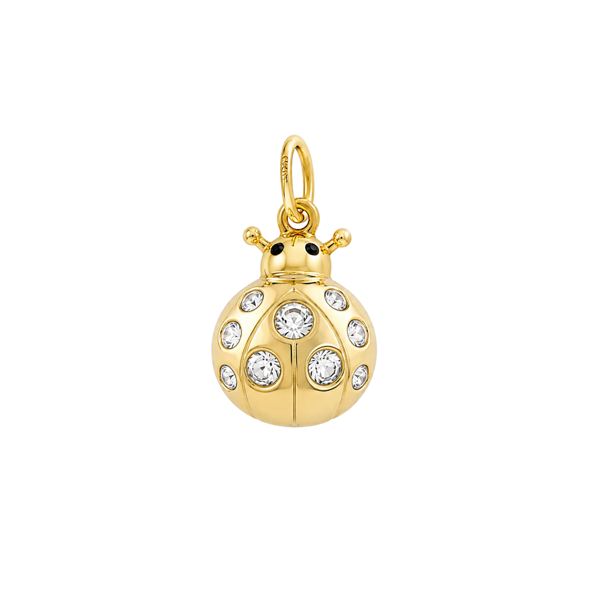 Crystal Ladybug