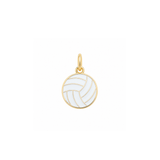 Enamel Volleyball