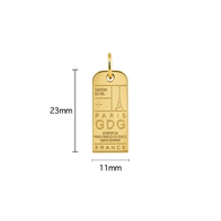 Paris Luggage Tag