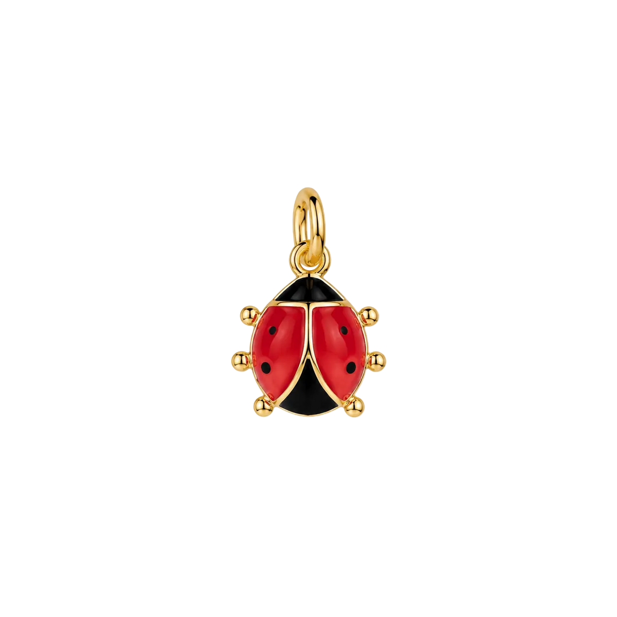 Small Enamel Ladybug