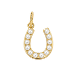 Pearl and Turquoise Horseshoe