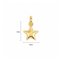 3D Puffy Star