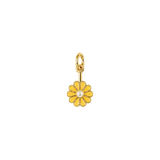 Pearl Daisy