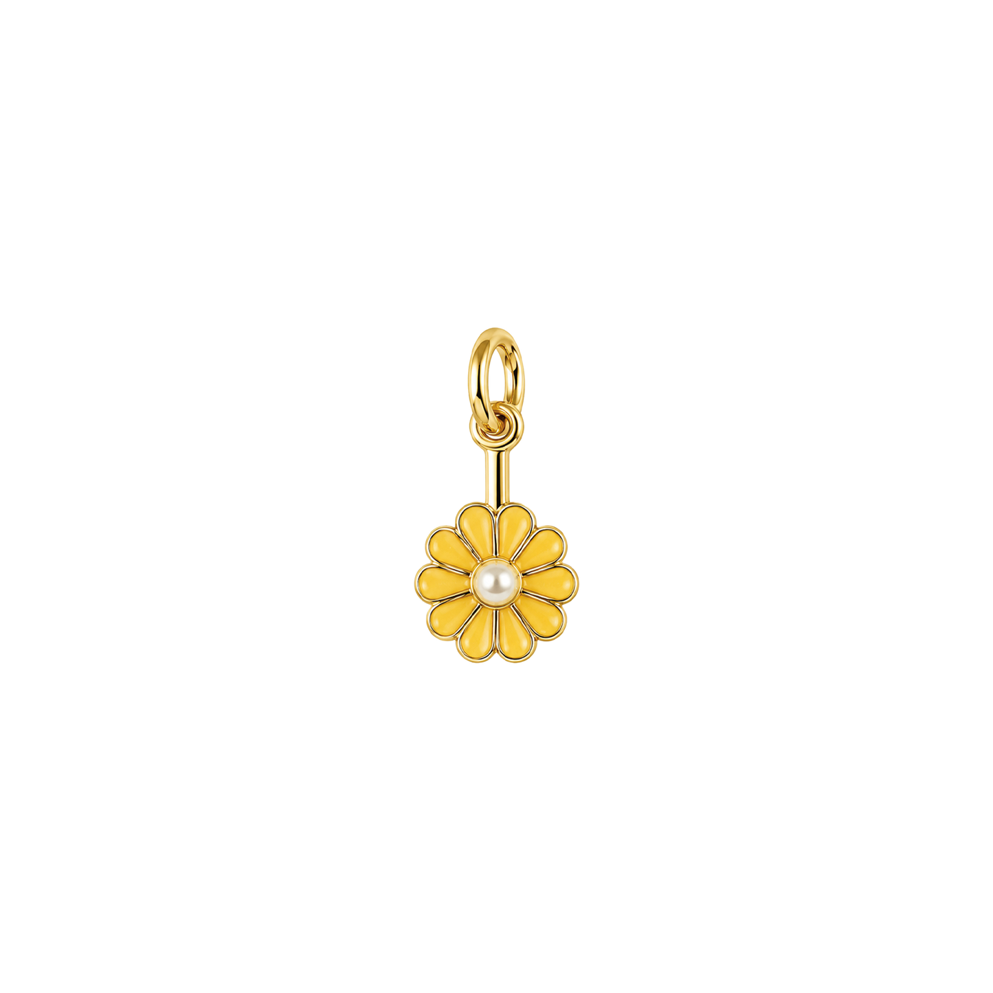 Pearl Daisy