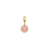 Pearl Daisy