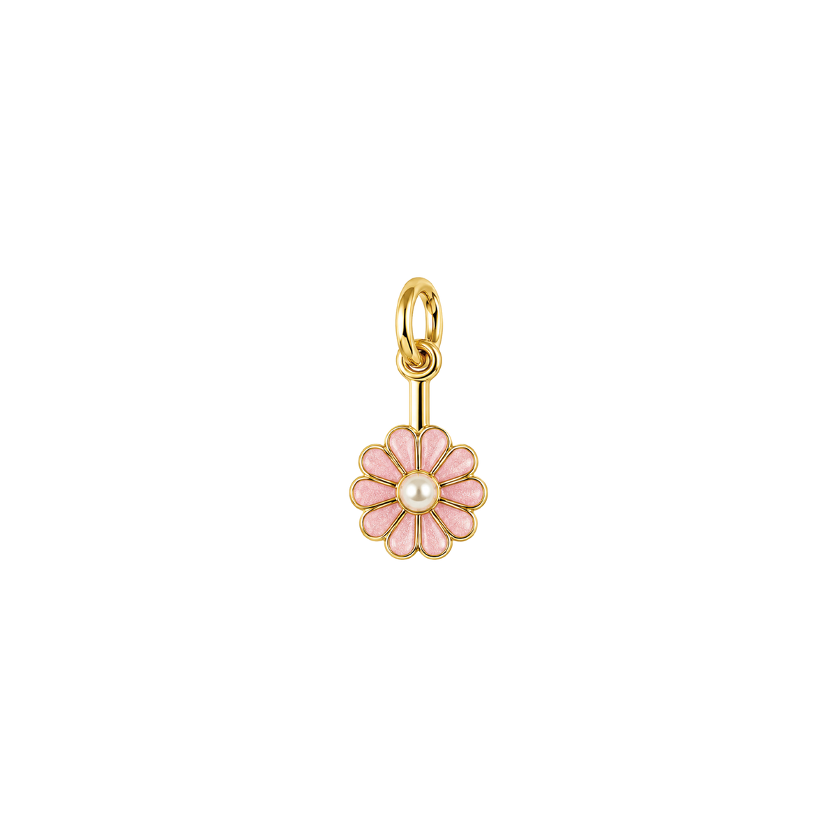 Pearl Daisy