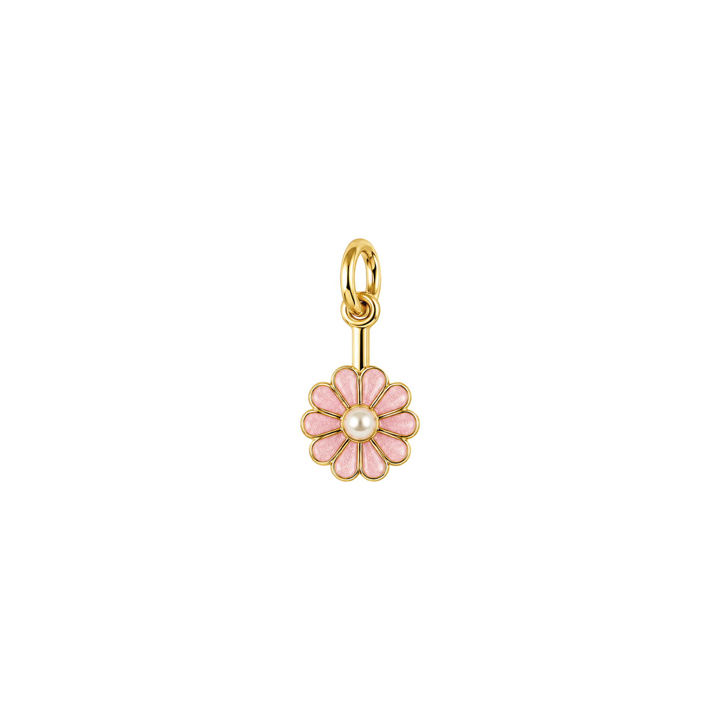 Pearl Daisy