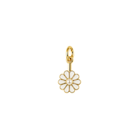 Pearl Daisy