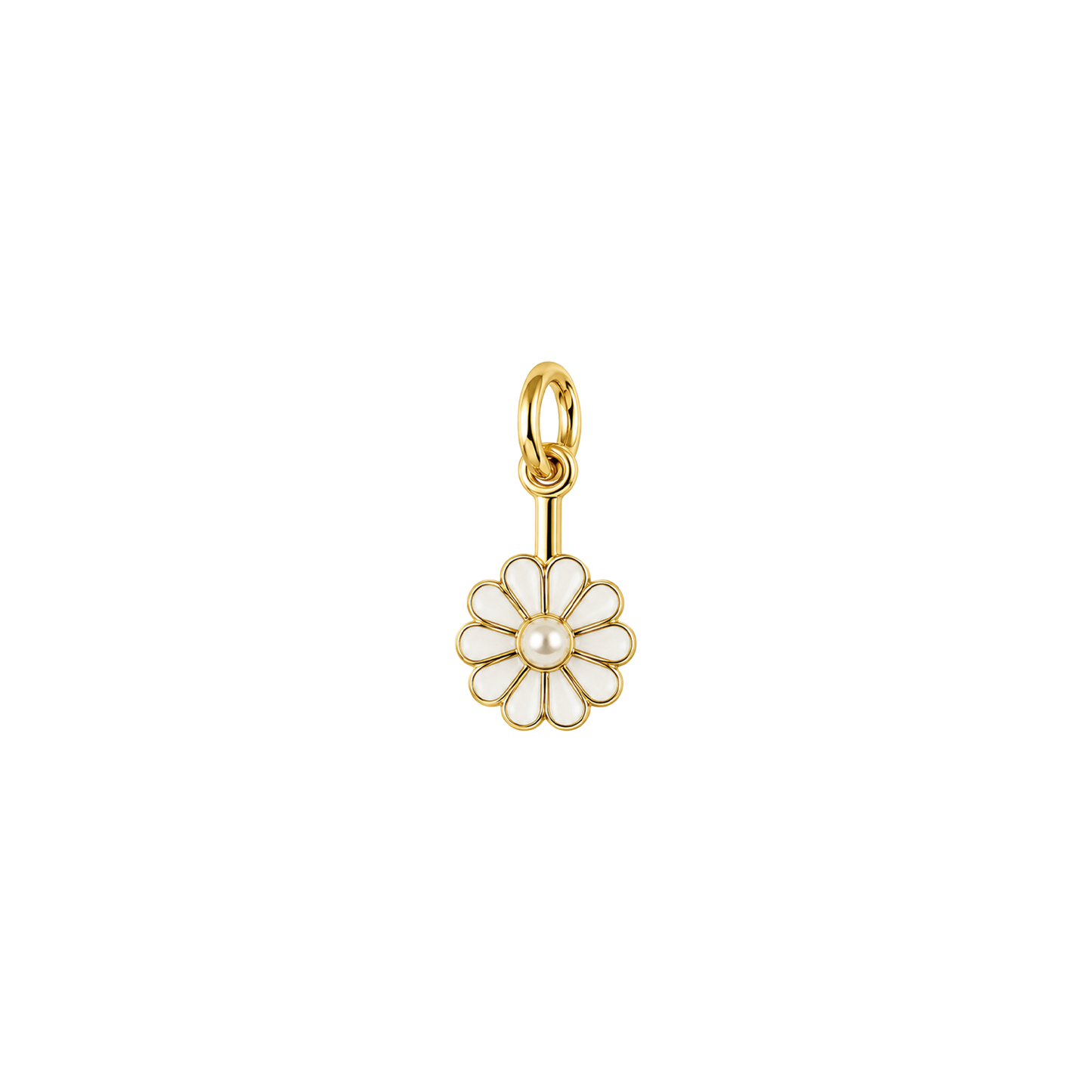 Pearl Daisy