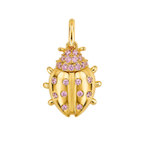 Pave Beetle
