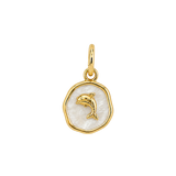 Animal Medallion