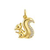 Pave Squirel