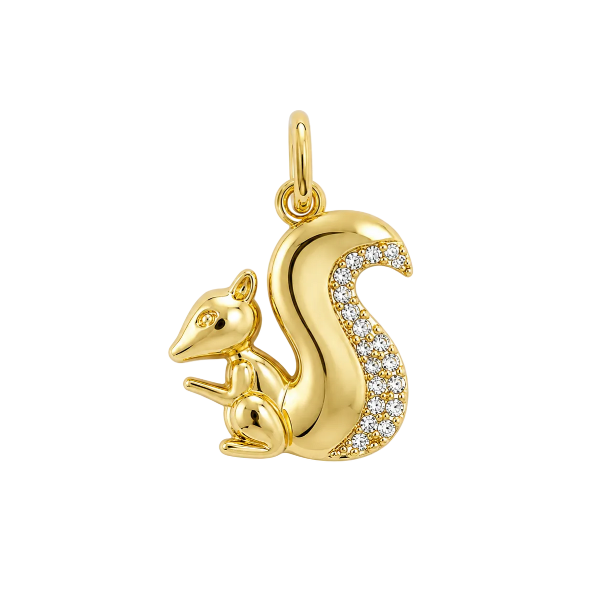 Pave Squirel