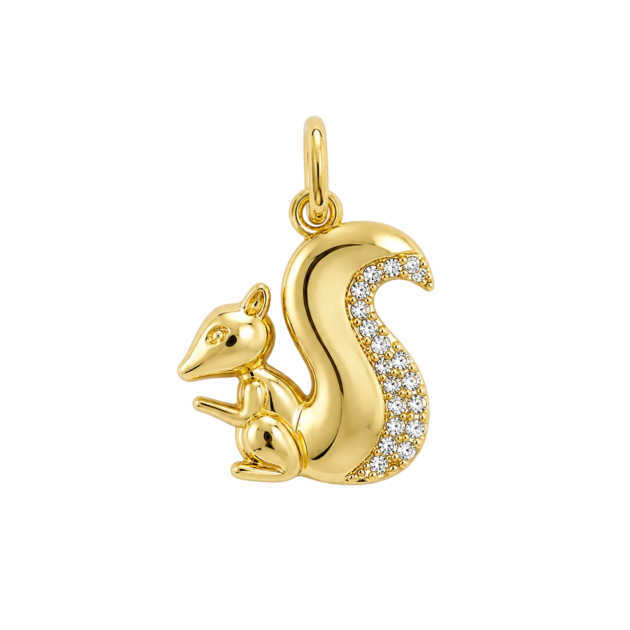 Pave Squirel