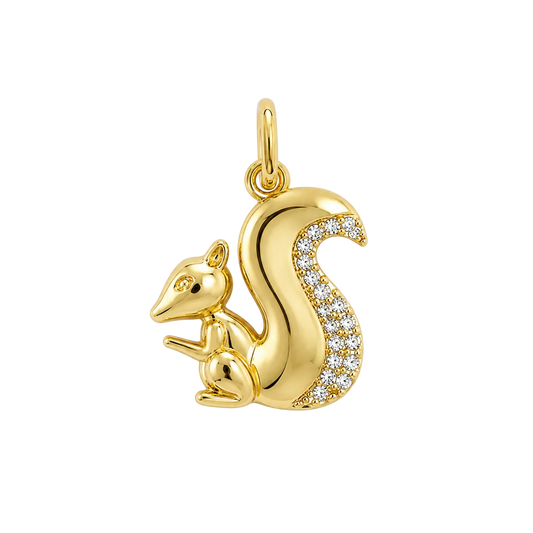 Pave Squirel