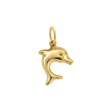 Gold Dolphin