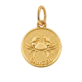 Gold Horoscope Medallion