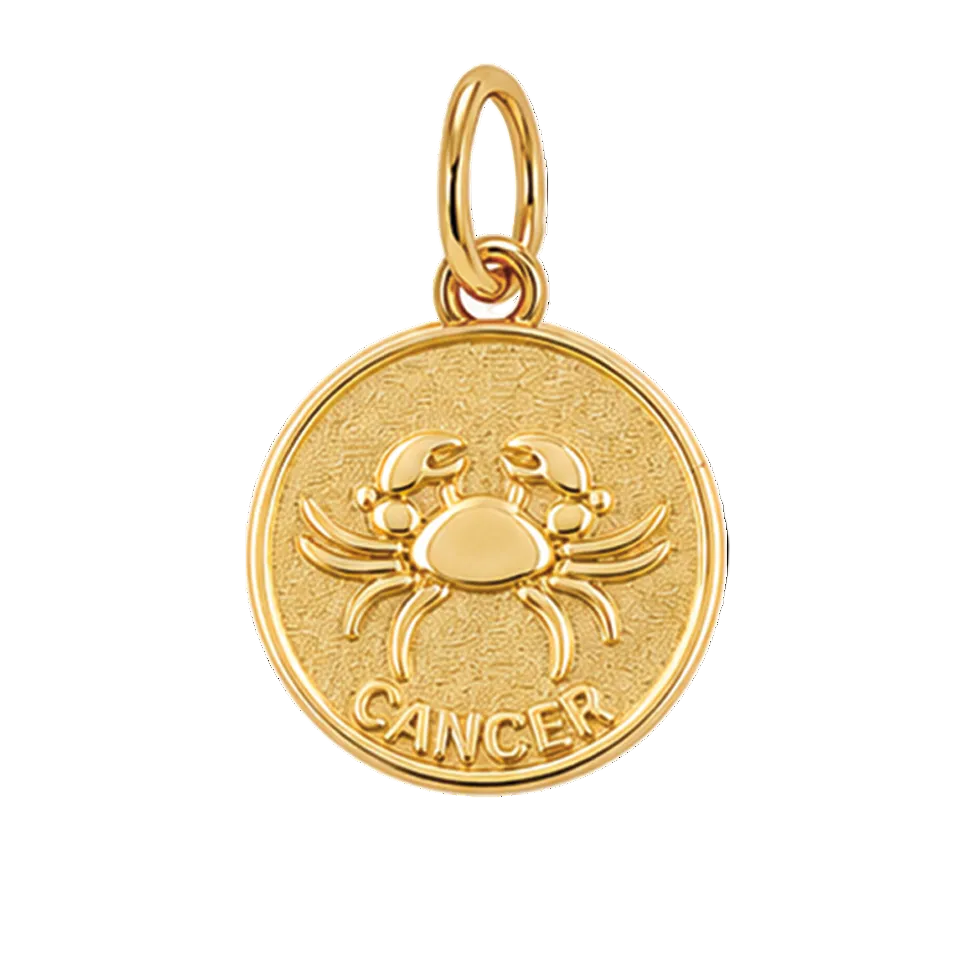 Gold Horoscope Medallion