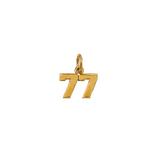 Jersey Double Digit Numbers