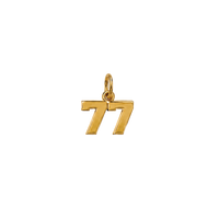 Jersey Double Digit Numbers