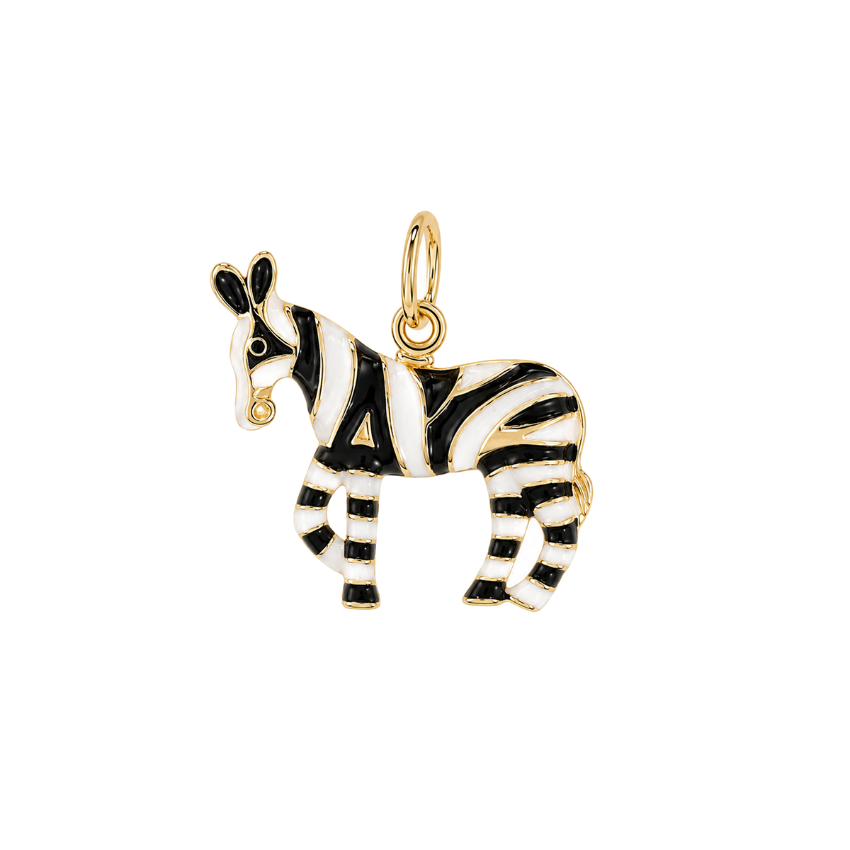 Enamel Zebra