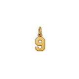 Jersey Gold Numbers