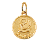 Gold Horoscope Medallion
