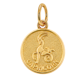 Gold Horoscope Medallion
