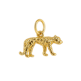 Gold Leopard