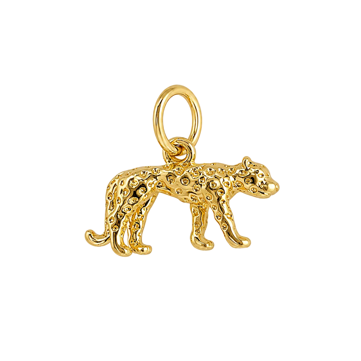 Gold Leopard