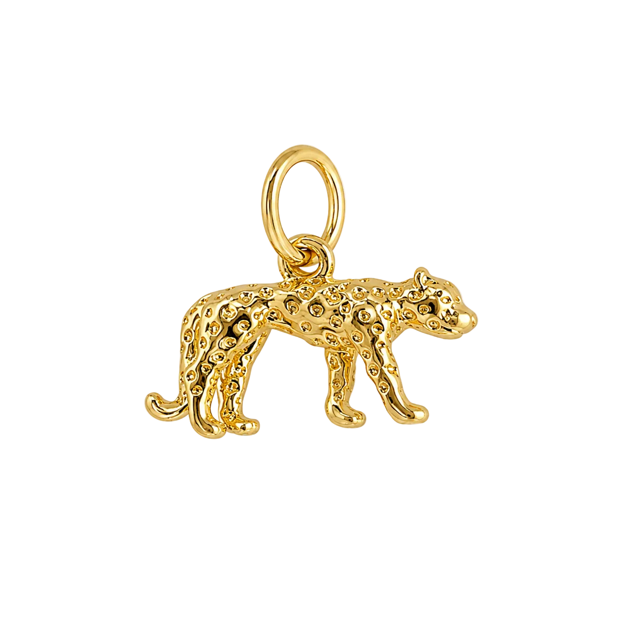 Gold Leopard