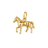 Gold Pony