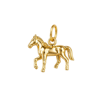 Gold Pony