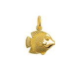Gold Fish