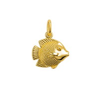 Gold Fish