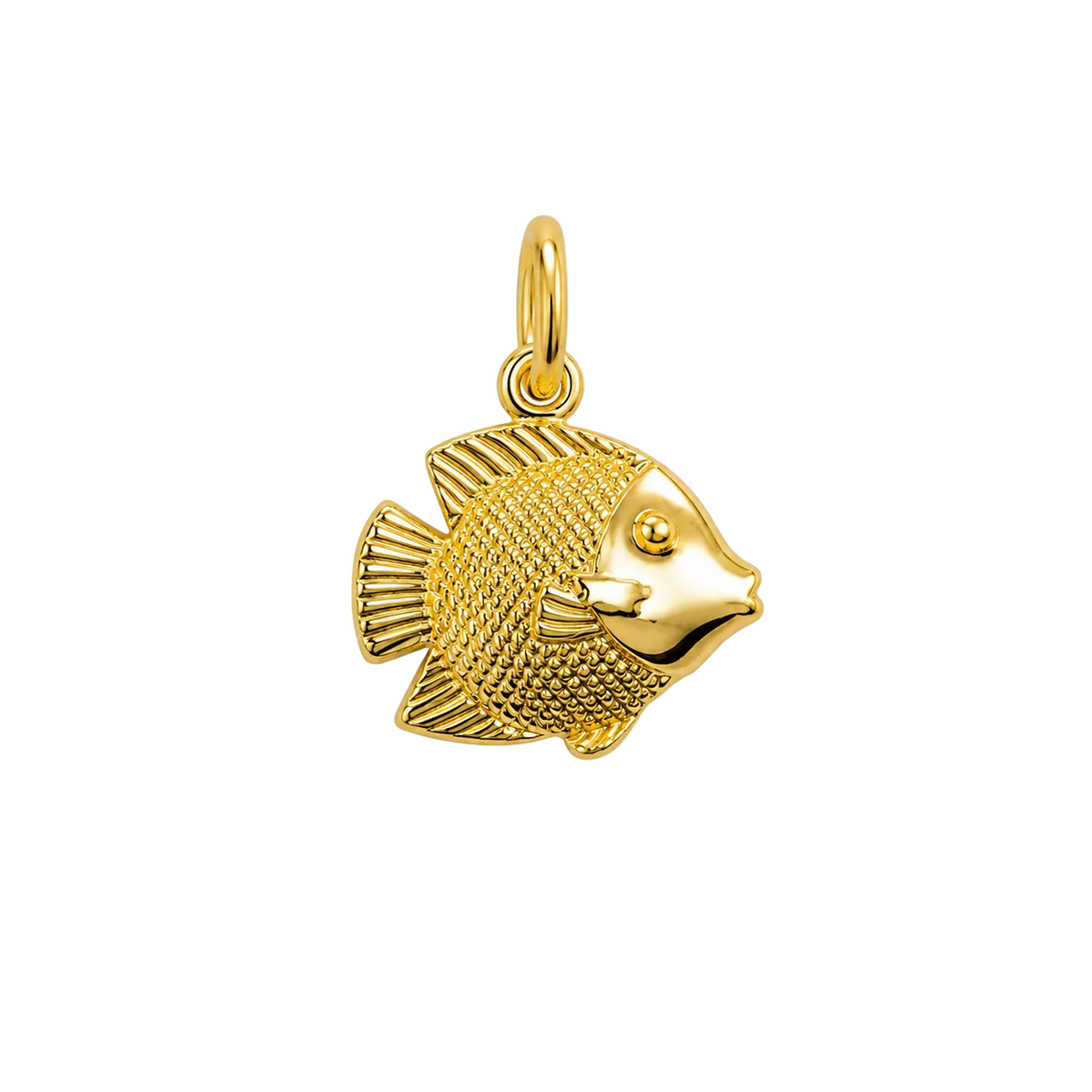 Gold Fish