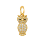 Pave Owl