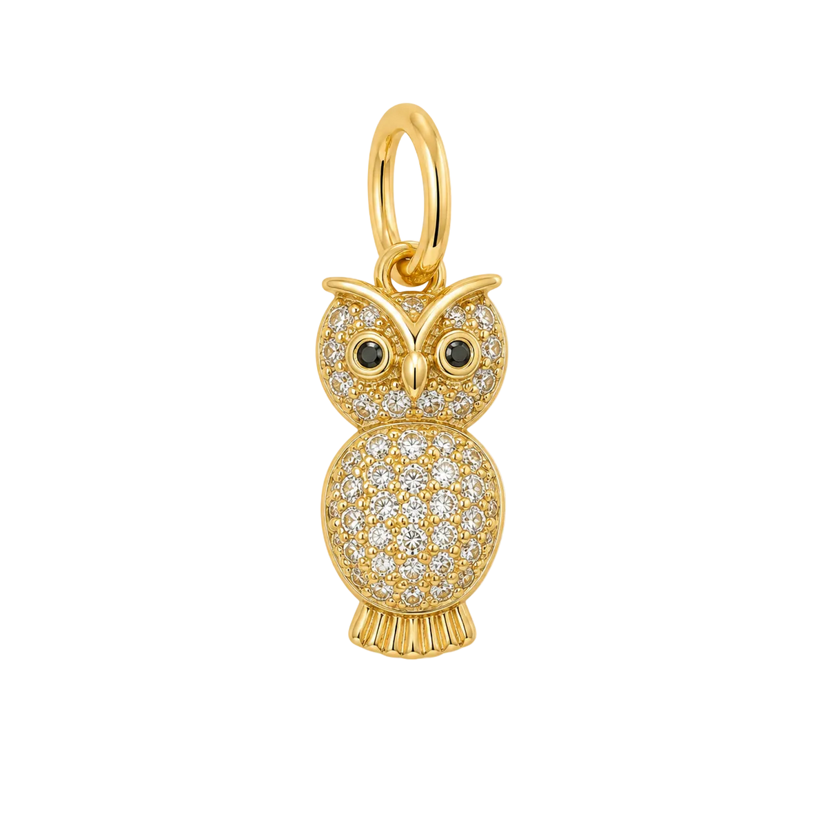 Pave Owl