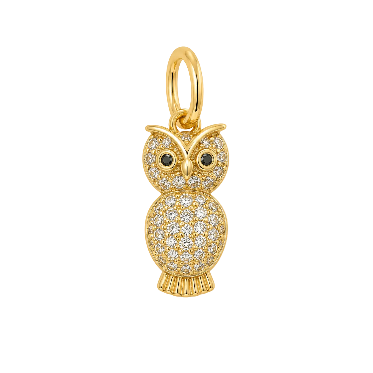 Pave Owl